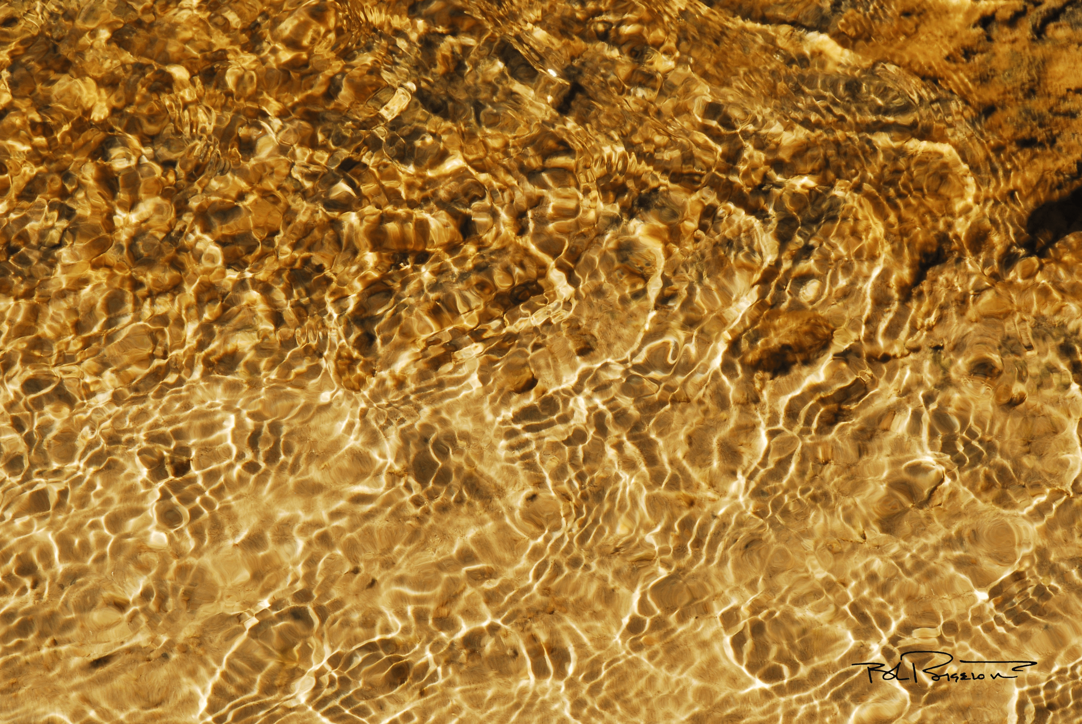 Water Gold