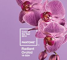 Use Pantone’s Color of the Year in Your Marketing
