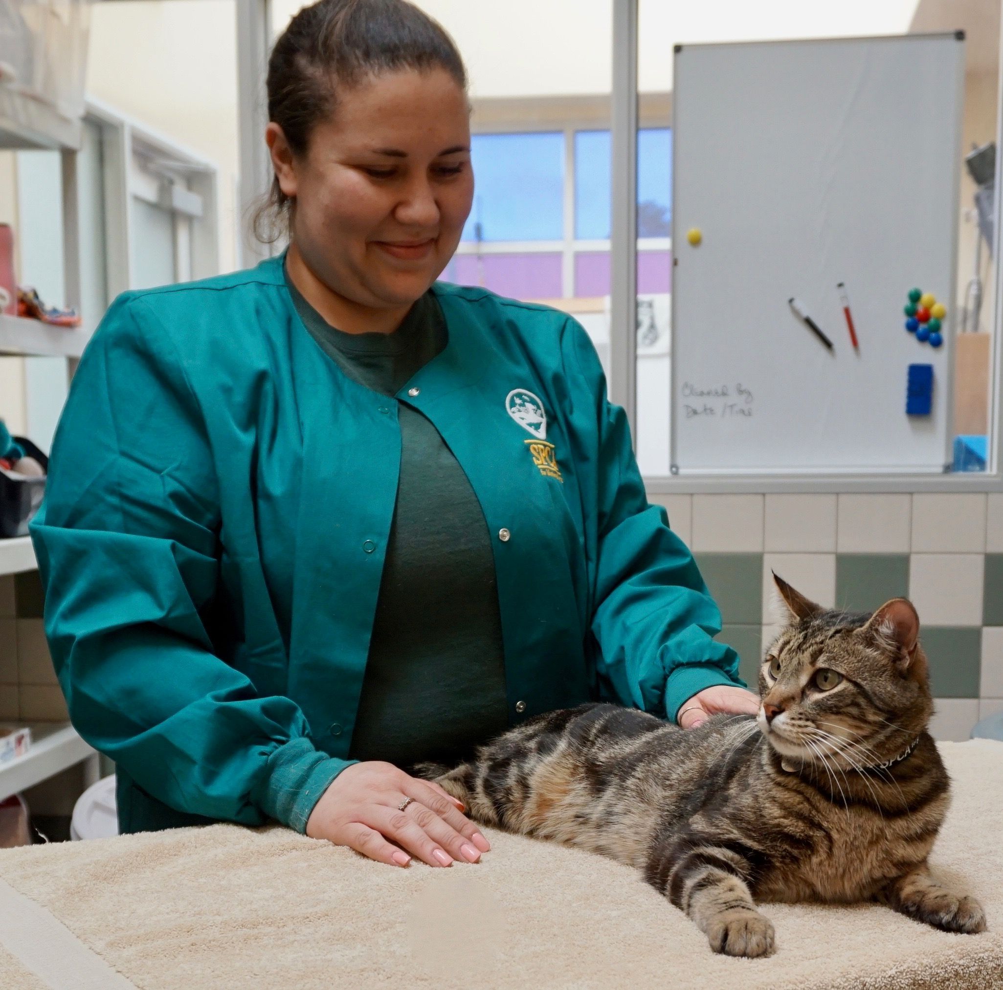 Clínica Veterinaria