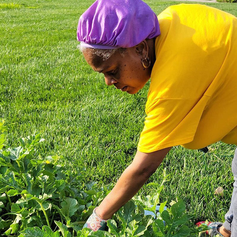 Woman gardening