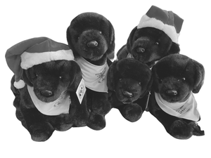 $150- Half Litter of Brave Stuffed Pups