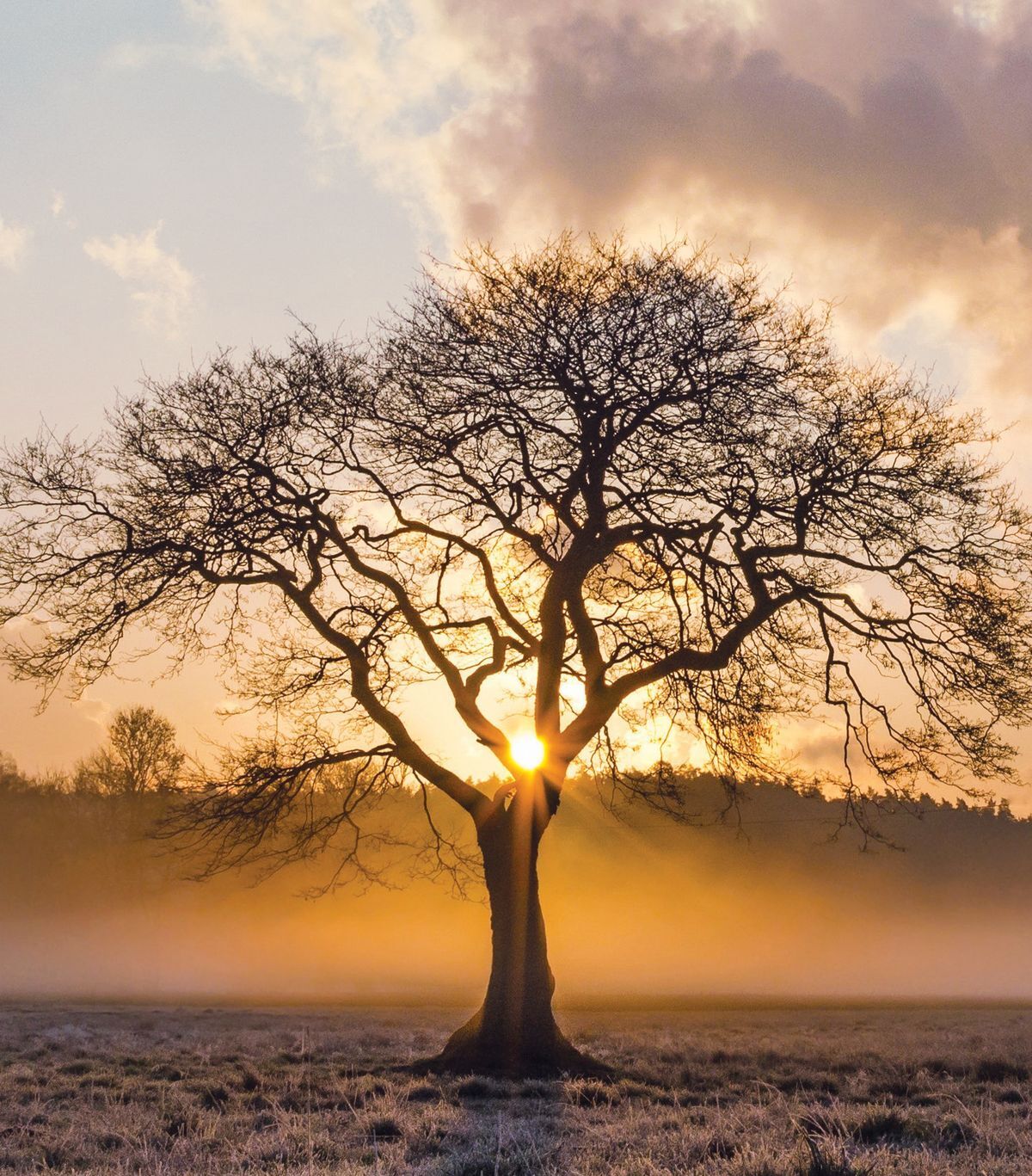 North Penn Legal Services Home