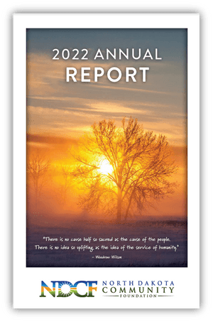 NDCF 2022 Annual Report