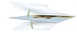 Illustration of encapsulation film layers completely sealing a document, showing how thicker laminating films provide waterproof, tear-resistant, and durable protection.