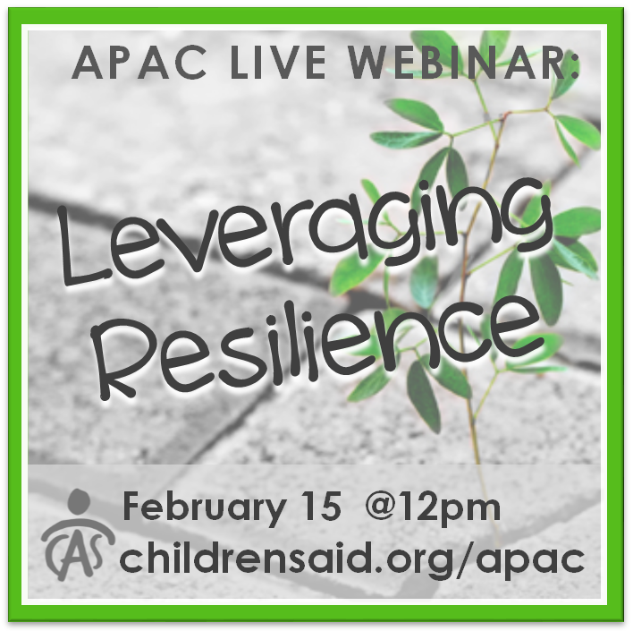February Webinar: Leveraging the Power of Resilience with Brock Sellers
