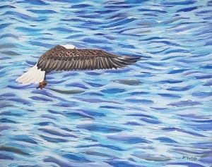 Eagle Fishing - Glen Fazakerley