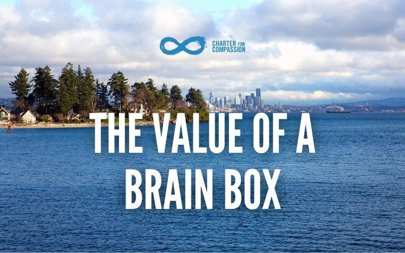 Bainbridge Island with Seattle in the backgroun with the words: The Value of a Brain Box.