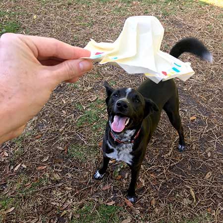 Origami Sombrero