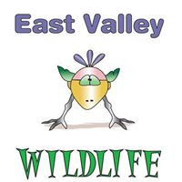 East Valley Wildlife