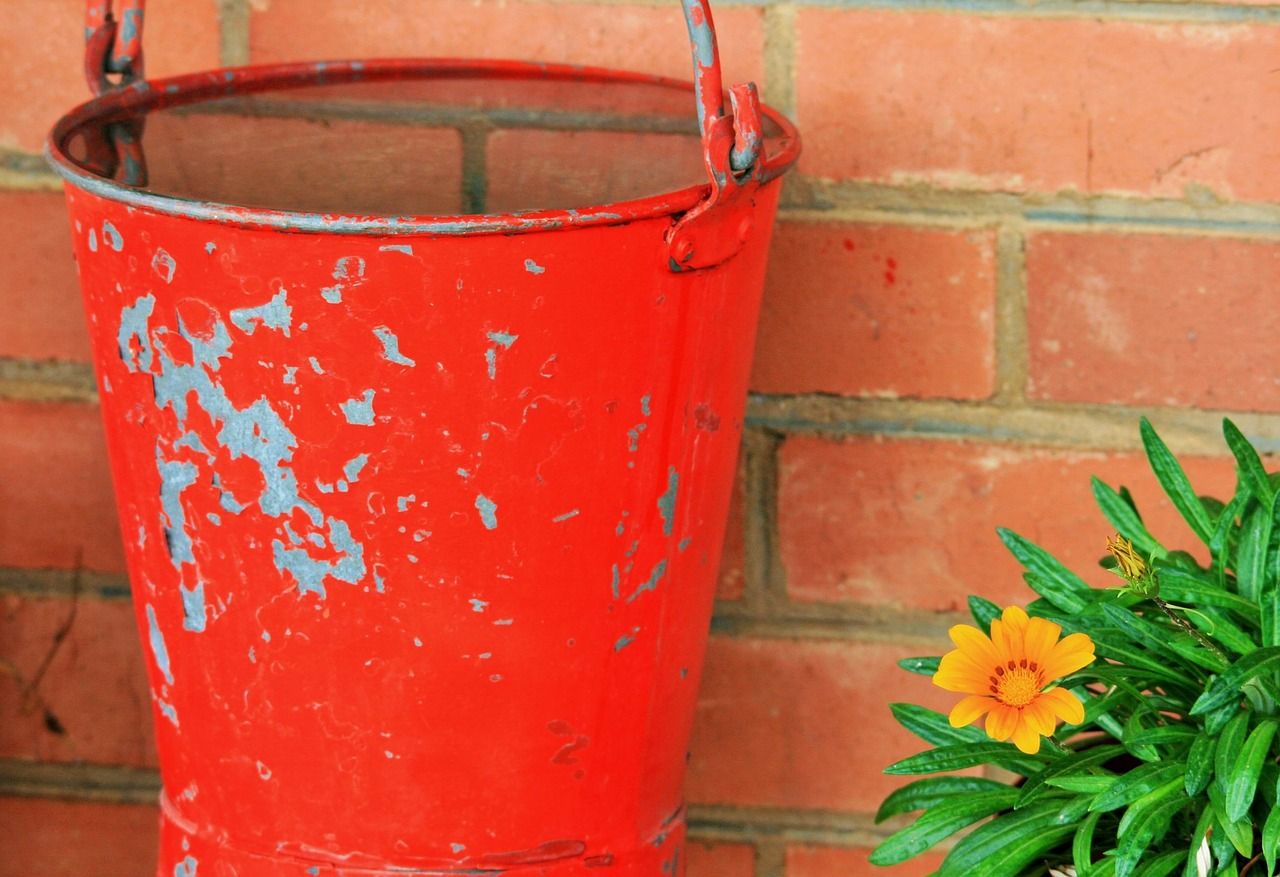 7 Simple Ways You Can Conserve Water in Your Eco-Friendly Yard