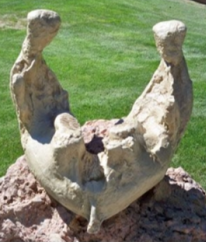 Replica of Columbian Mammoth Mandible