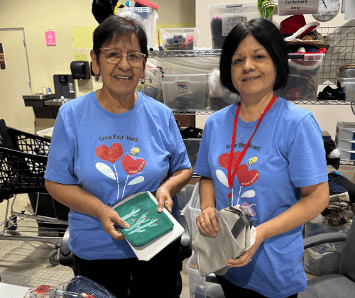 Individual Volunteers 