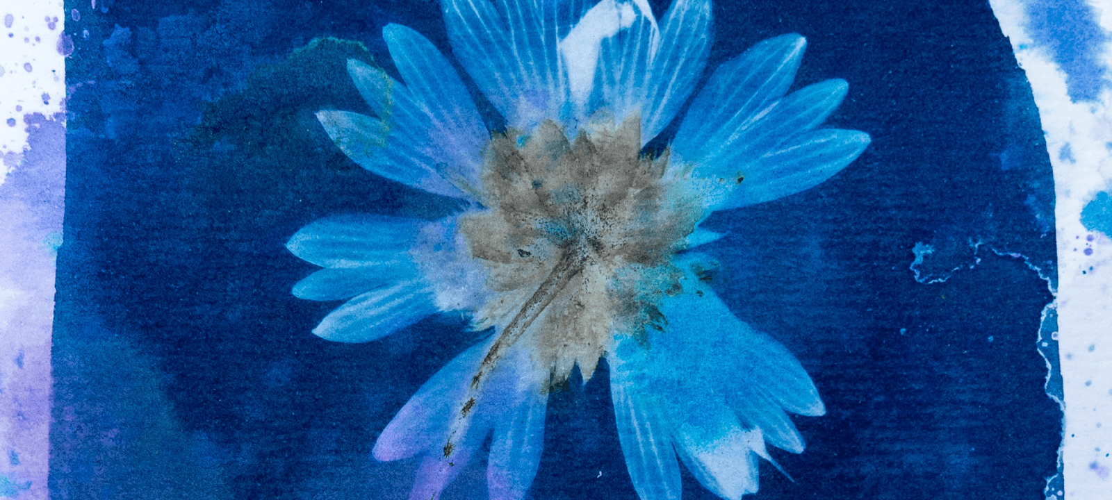 The Meadow by Linda Farwell
