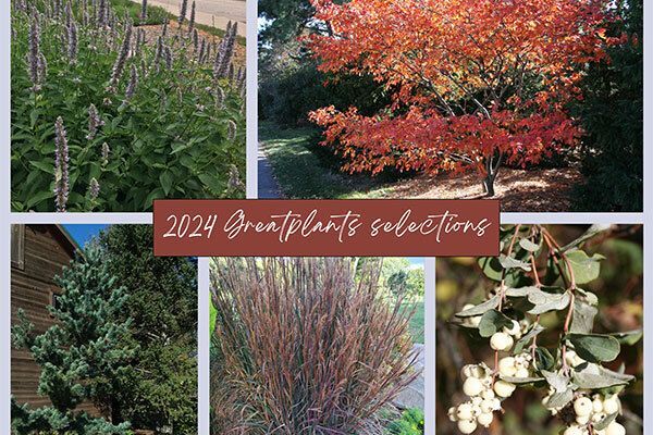 Great Plants Selections for 2024