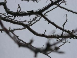 Daily Prayer March 30