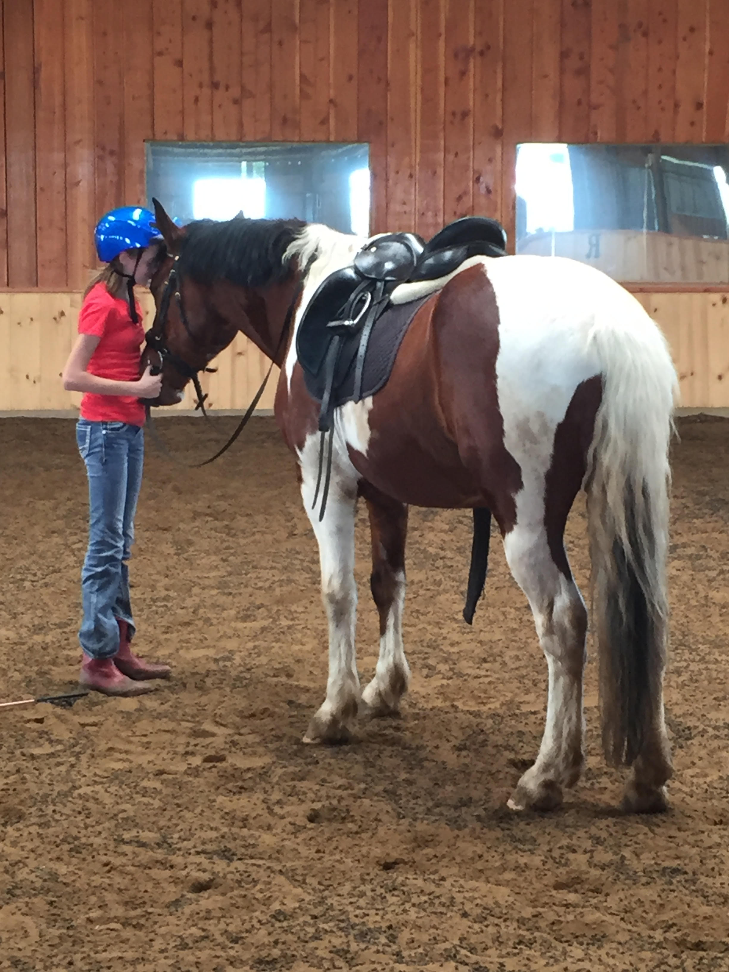 Head to Hoof - Session 1 - FULL
