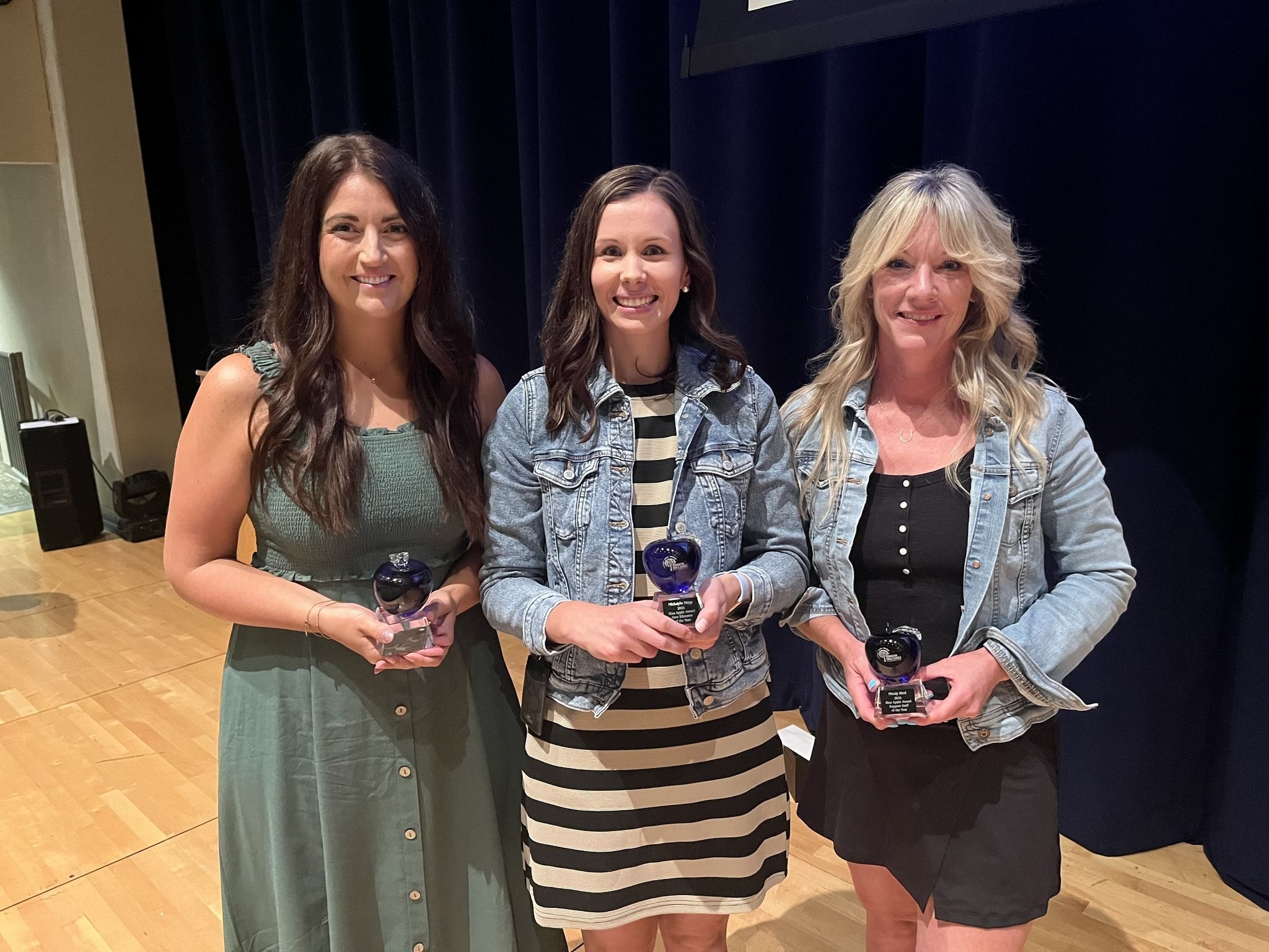 Blue Apple Awards Nominations Open Now