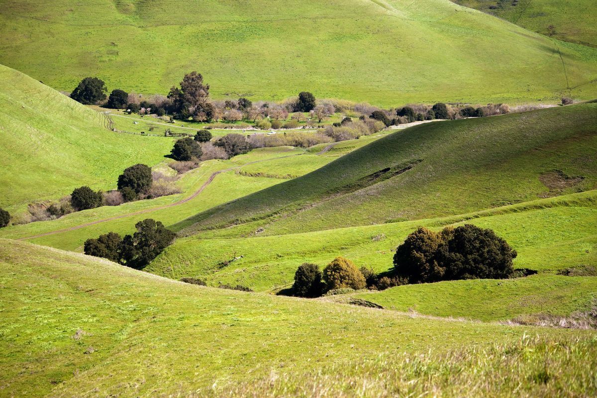 Lynch Canyon : Protected Lands : Solano Land Trust