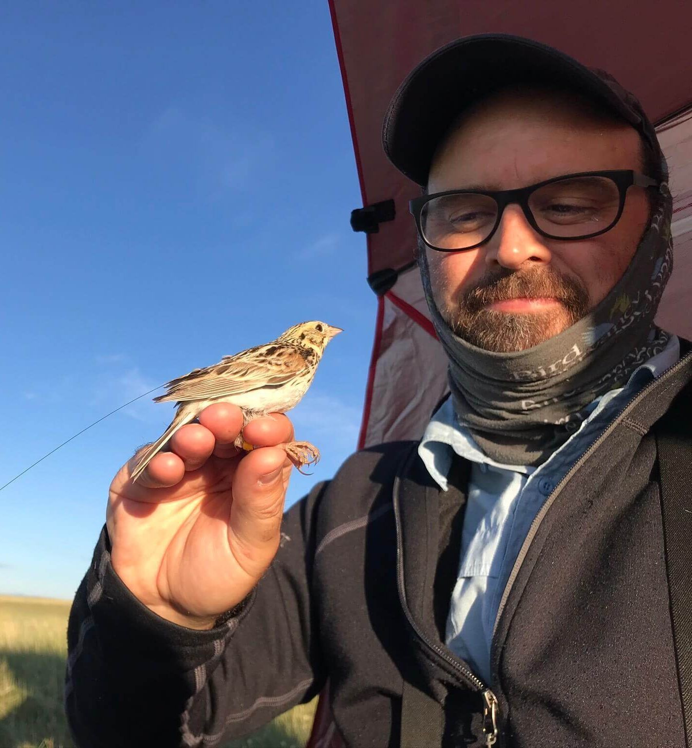 Learn about the science of tracking small birds at our April 14 program