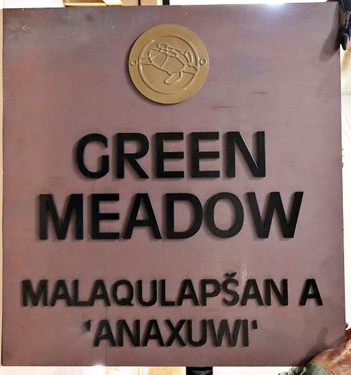 M8502- Custom Weathering Steel Sign for "Green Meadow"