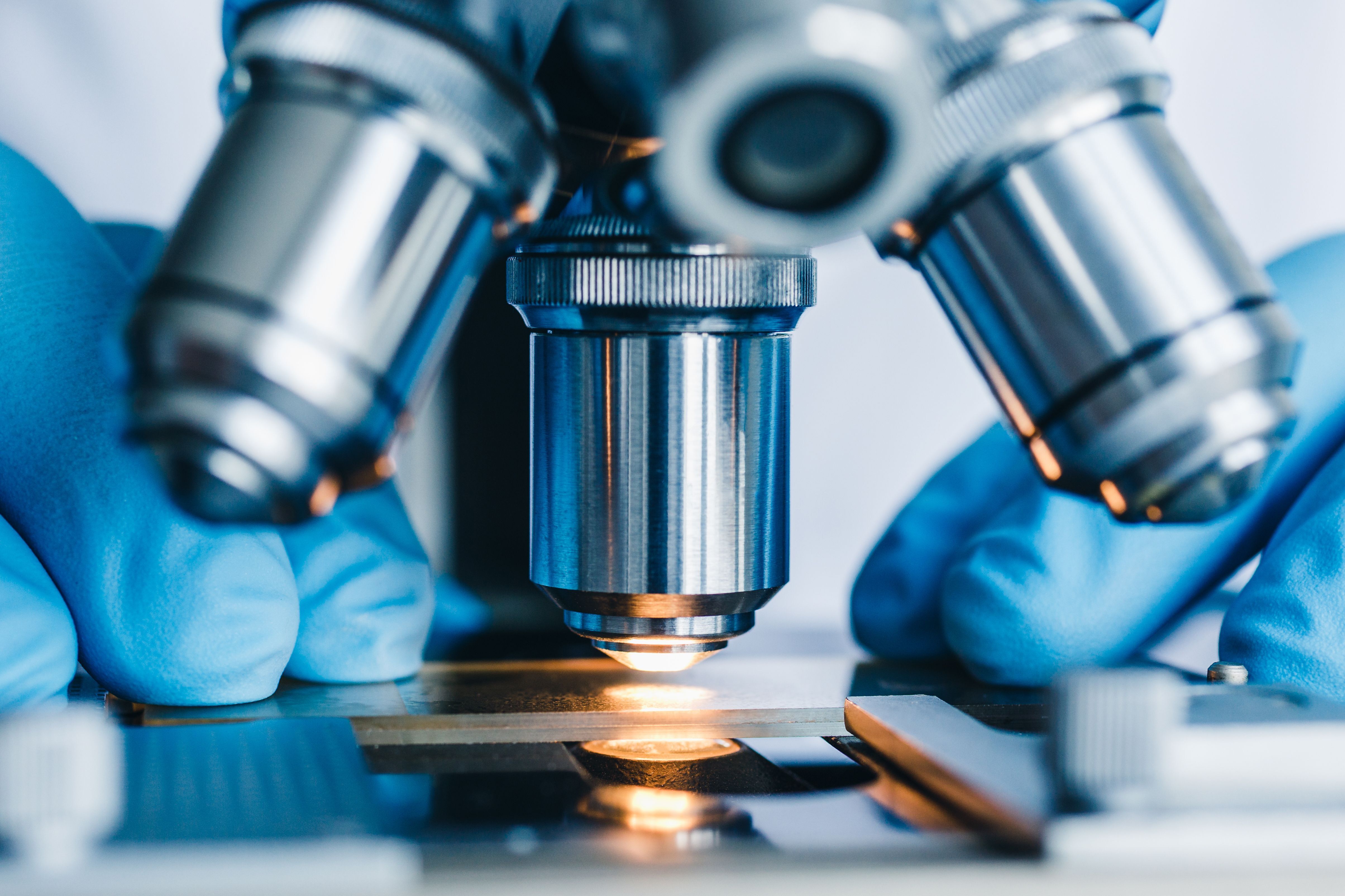 An Overview of 15 Companies Developing Stem Cells for T1D