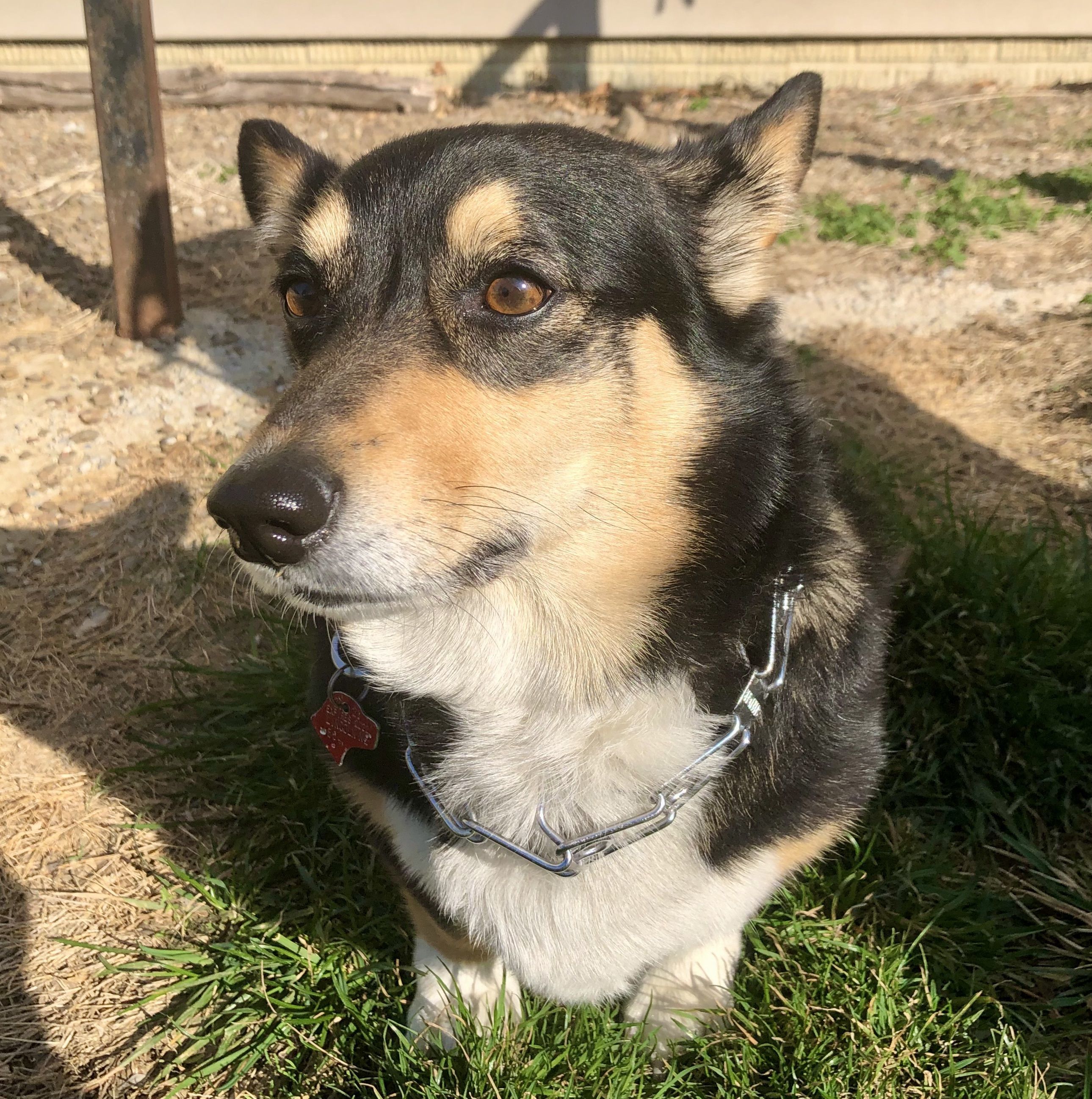 Luna
