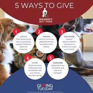 It's Giving Tuesday!