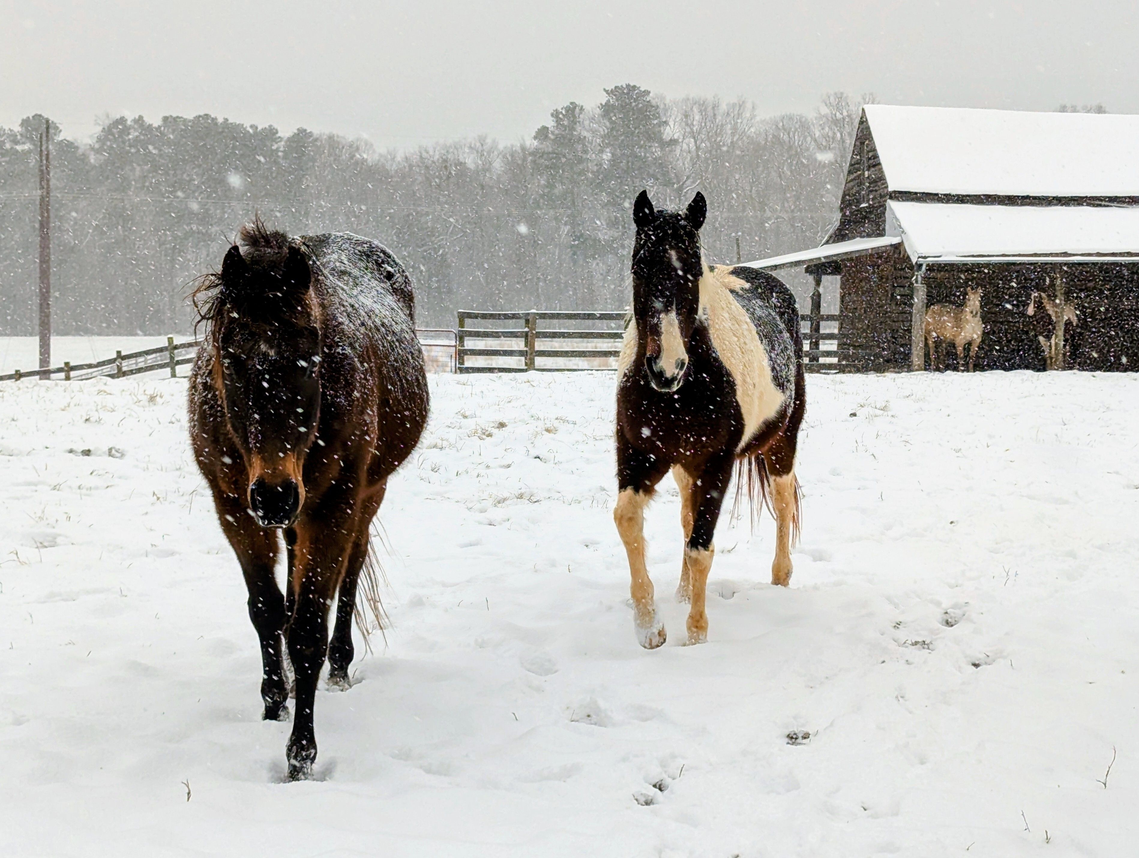 Vote on MyGivingCircle