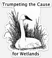 Trumpeting the Cause for Wetlands Static Cling