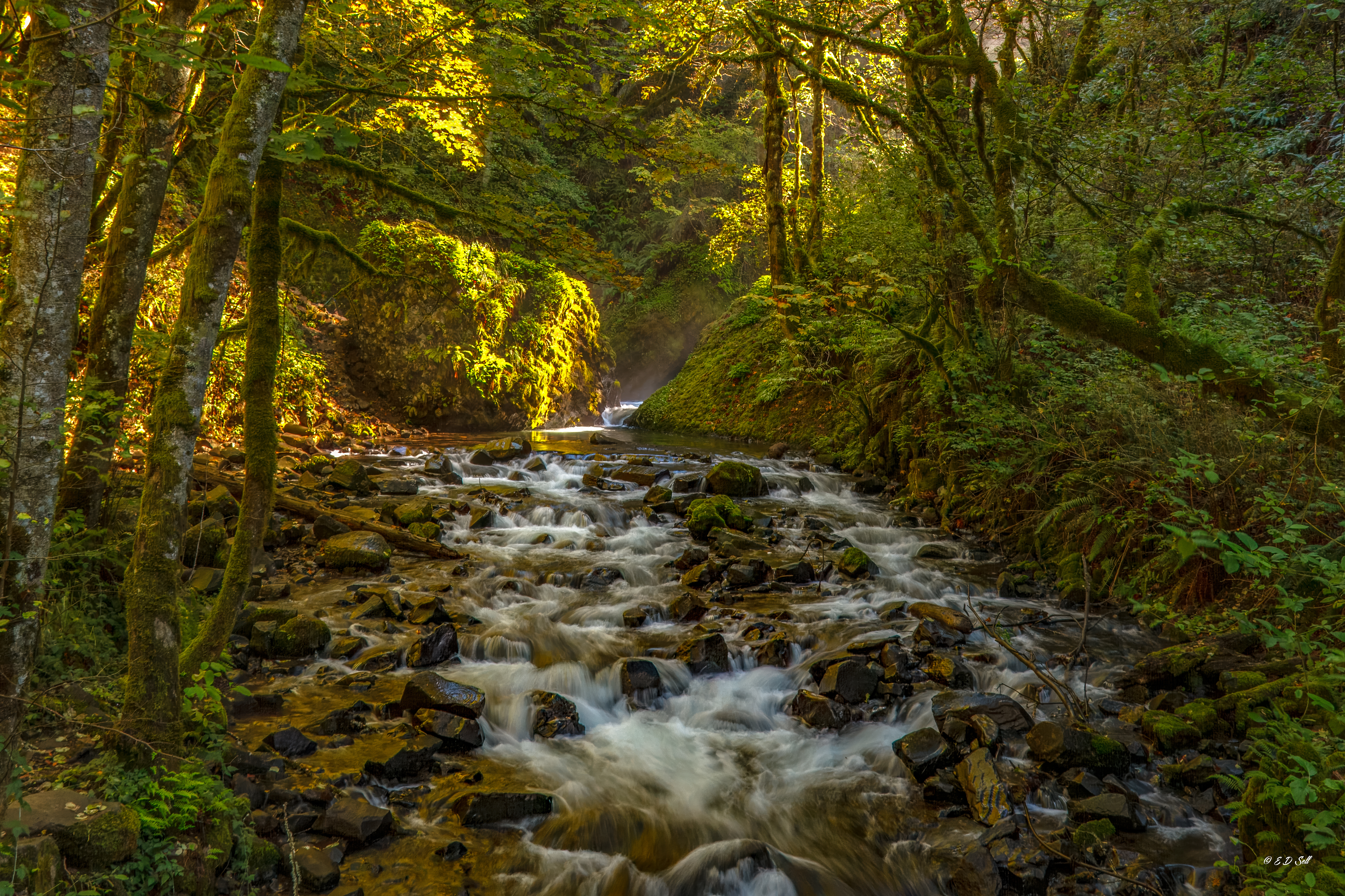 Below Bridal Veil Falls