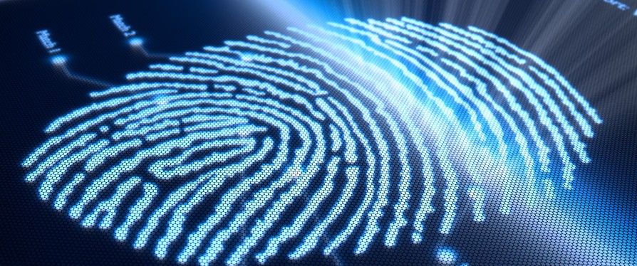Image of a blue fingerprint.