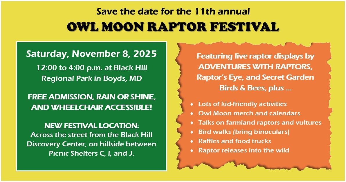 Image of Owl Moon Festival Banner