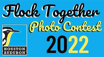 Flock Together Photo Contest Winners Announced
