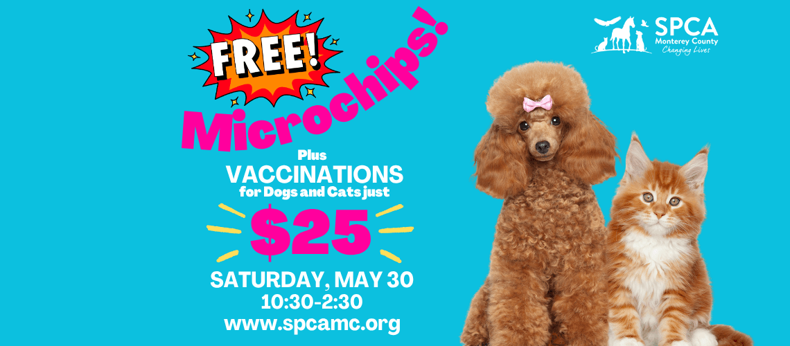 Free Microchips + $25 Vaccinations