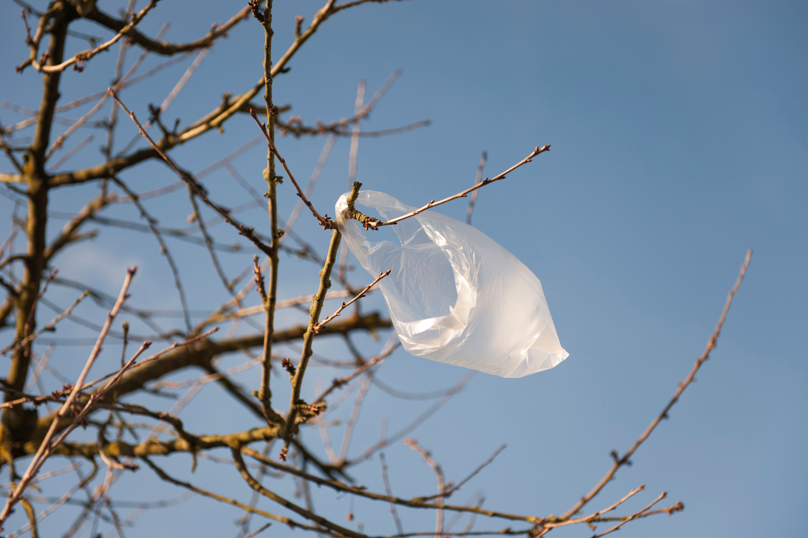 RI Plastic Waste Reduction Act