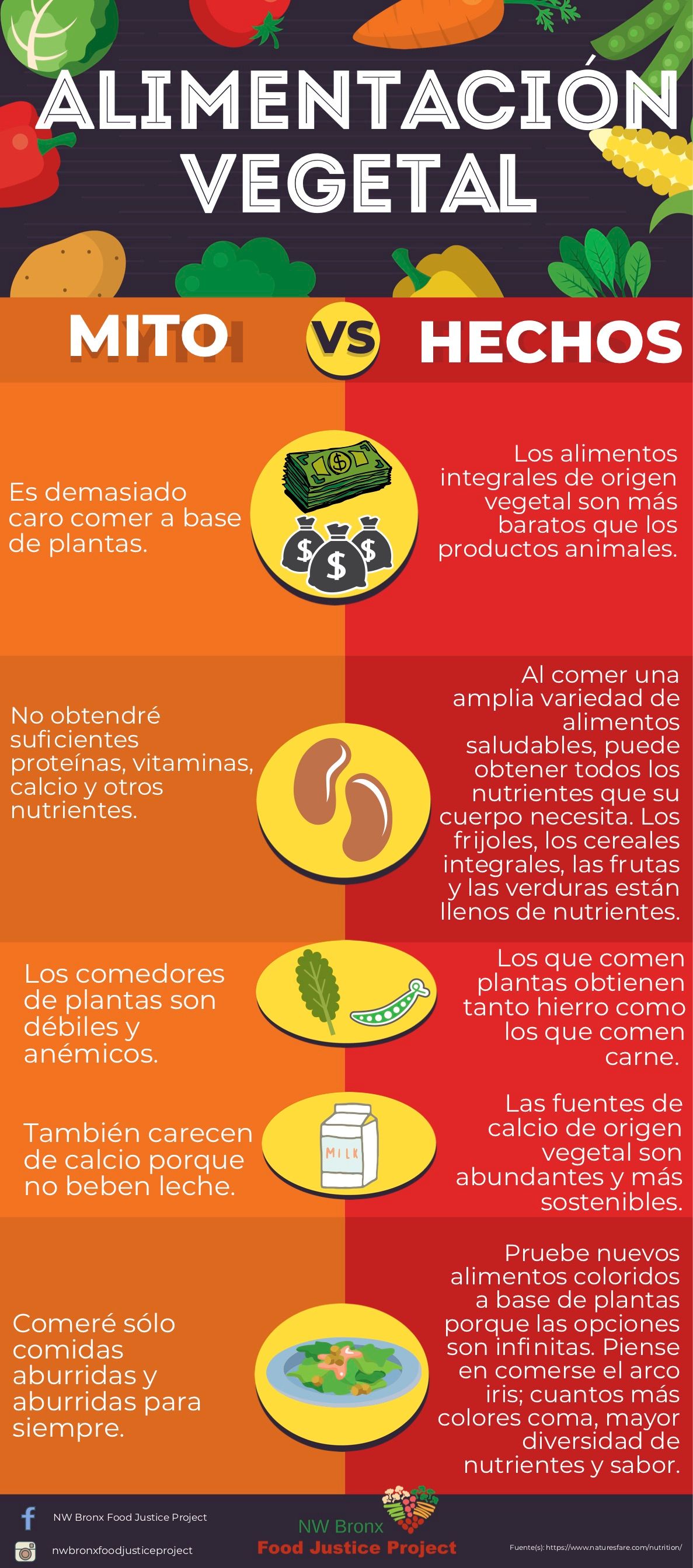 Mito de la alimentación basada en plantas versus hechos