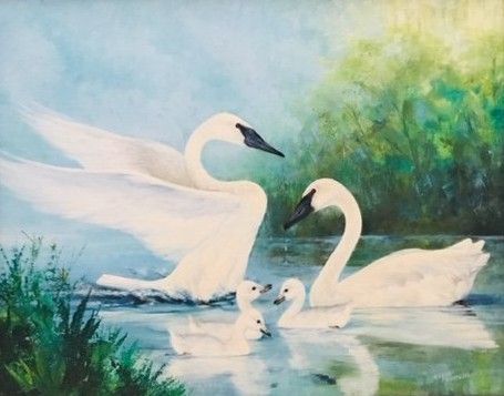 My Swan Story by David W.