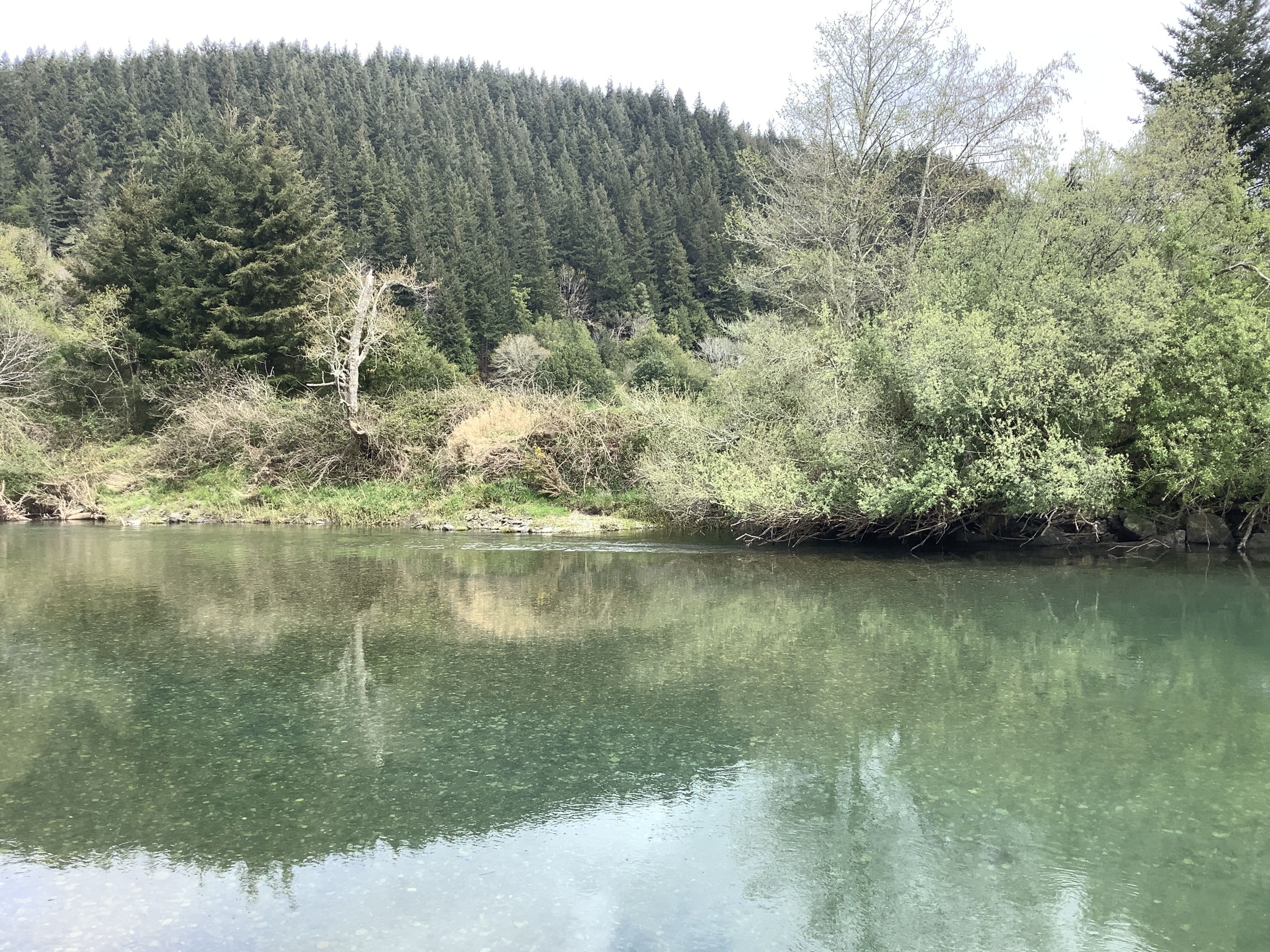 Exploring the diverse landscapes of the Bagley North property
