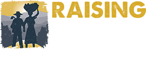 Raising Haiti Foundation