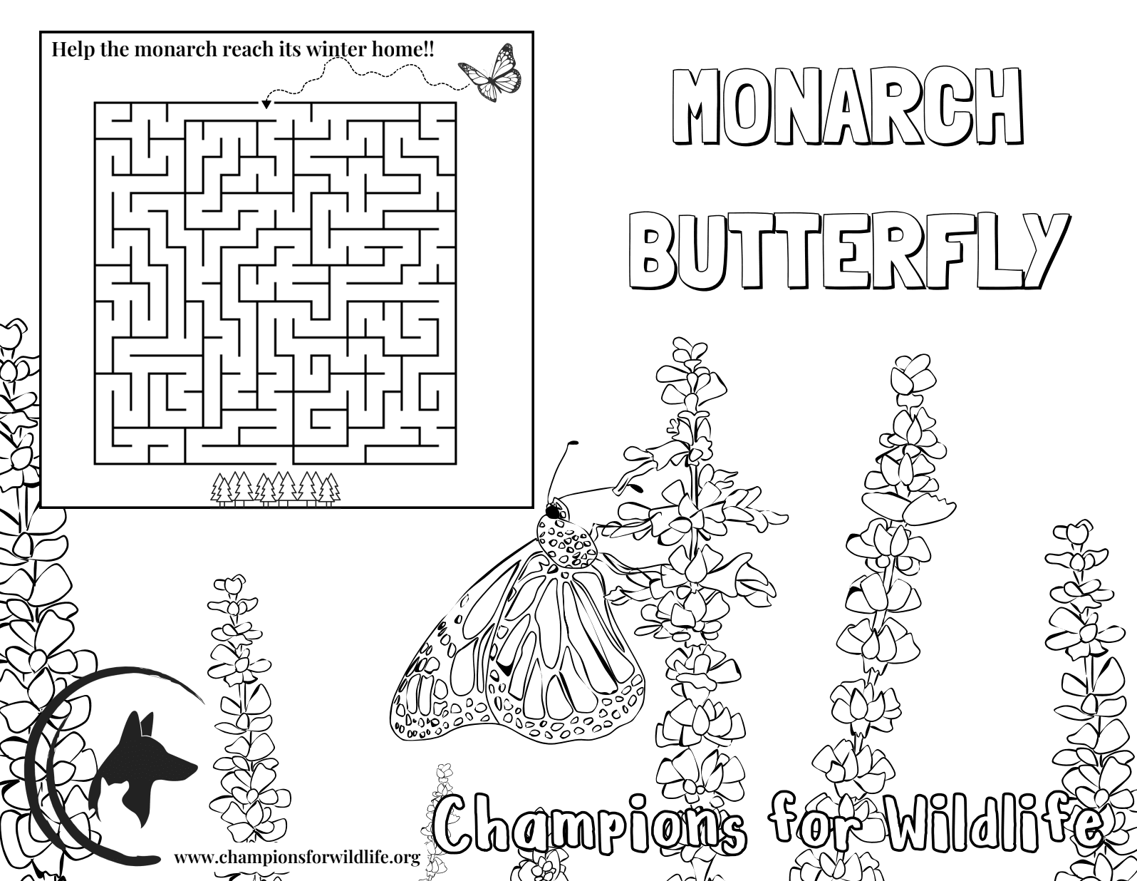 A maze activity to get a butterfly home alongside a black and white drawing of a butterfly on a flower