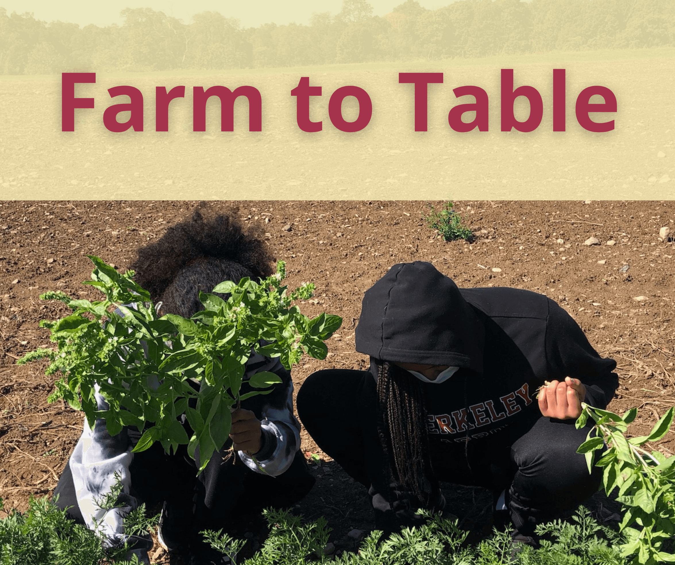 Farm to Table: all grades