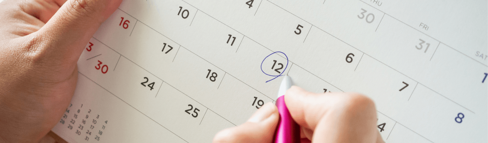 Image of a nonprofit calendar.