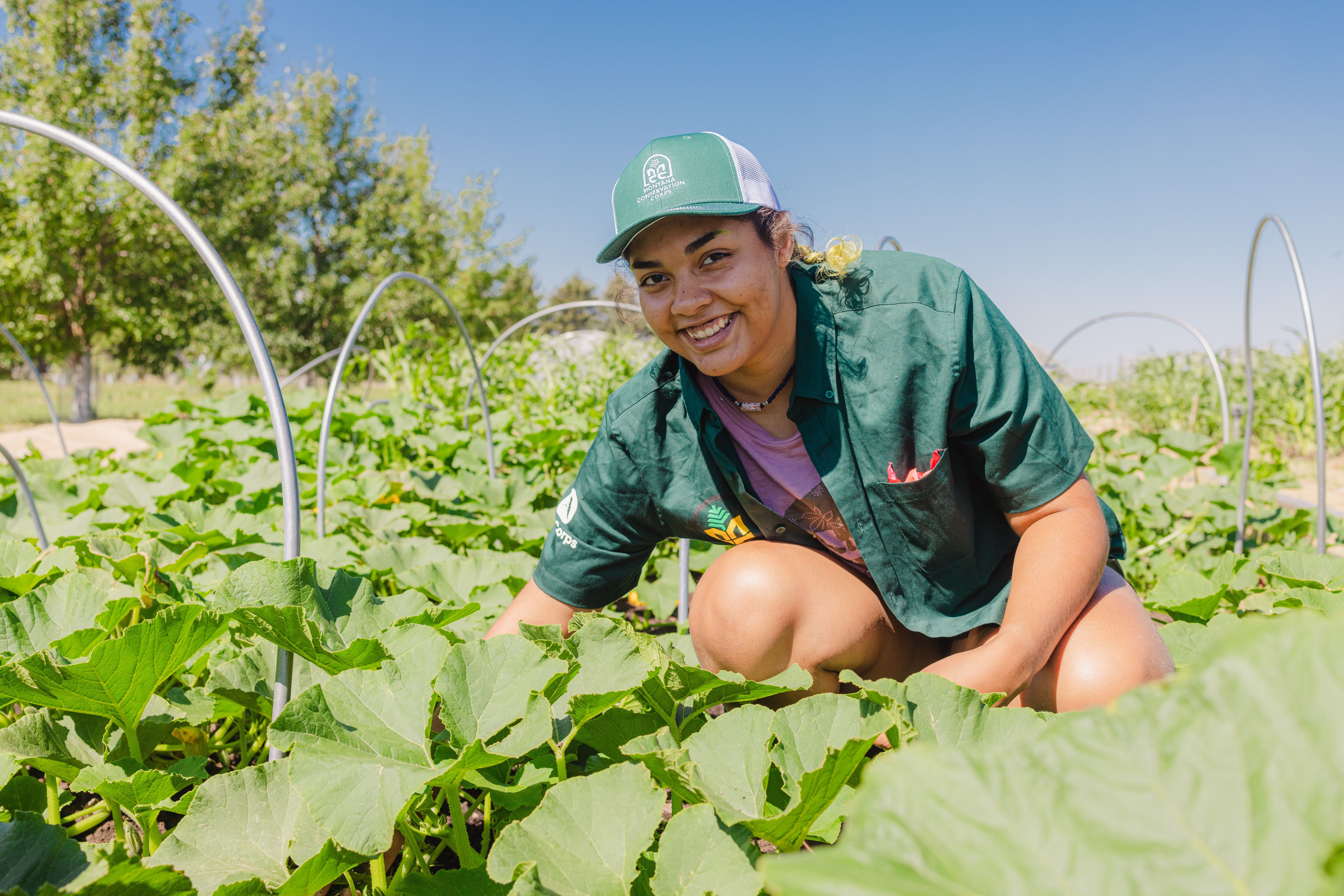 Sowing The Seeds of The Future