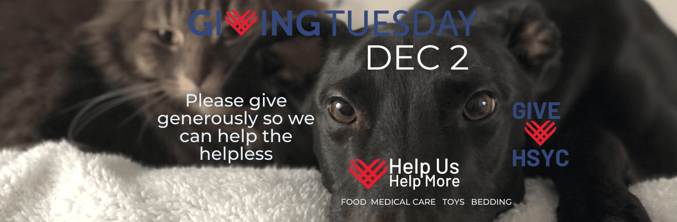 http://tinyurl.com/HSYCGivingTuesday2017