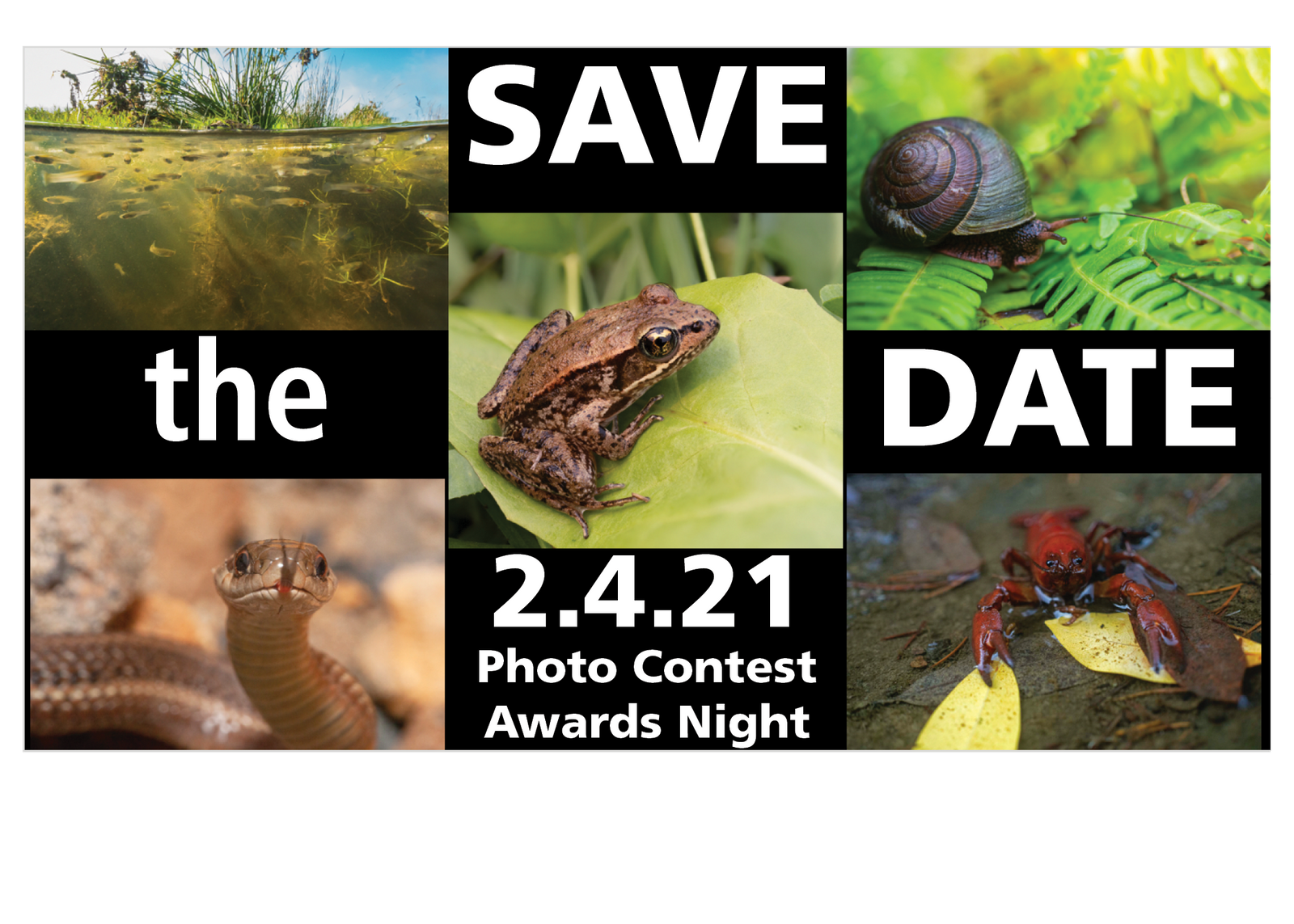 Winners Announced in Wild Rivers Land Trust Photo Contest Newsletters