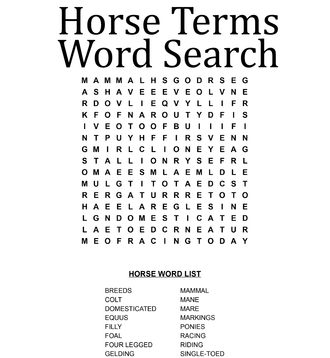 Horse Terms Word Search