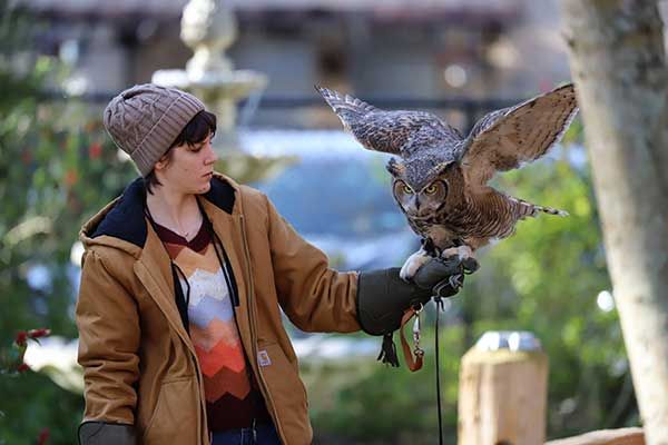 Behind the Scenes at the Raptor Center