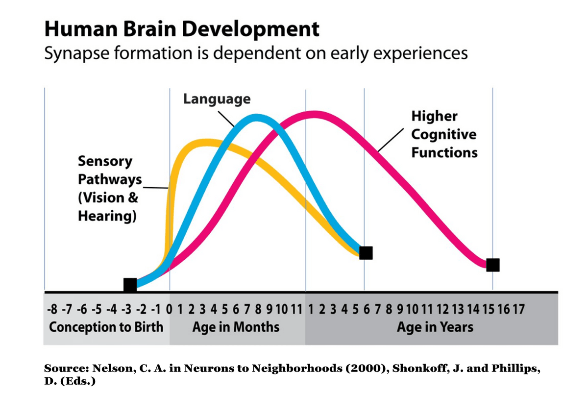 early-brain-development-the-first-3-years-what-is-sixpence-sixpence