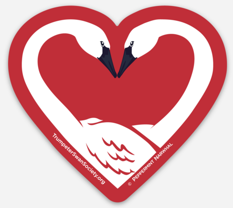 Holiday Swan Heart sticker