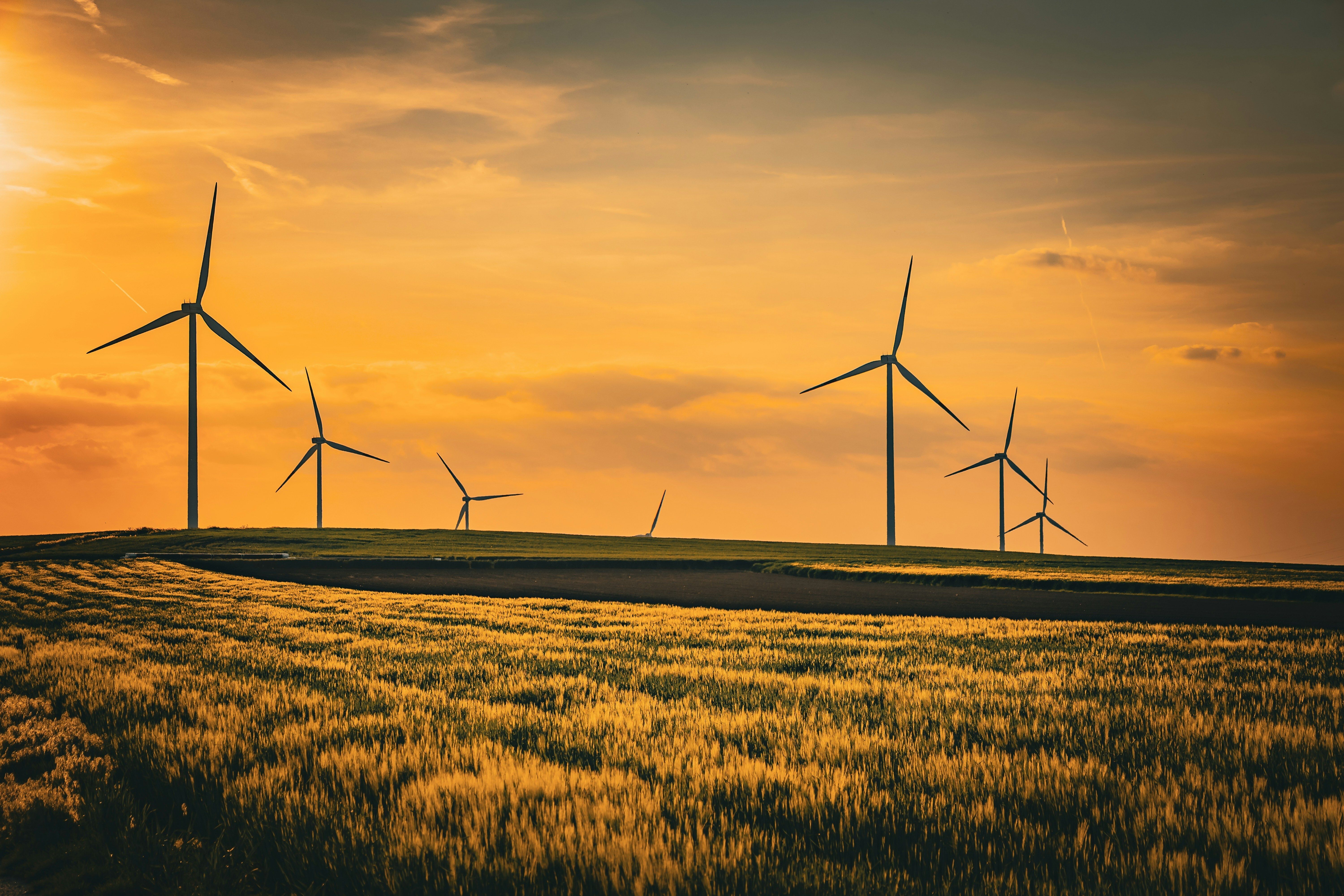 Wind turbines in field at sunset